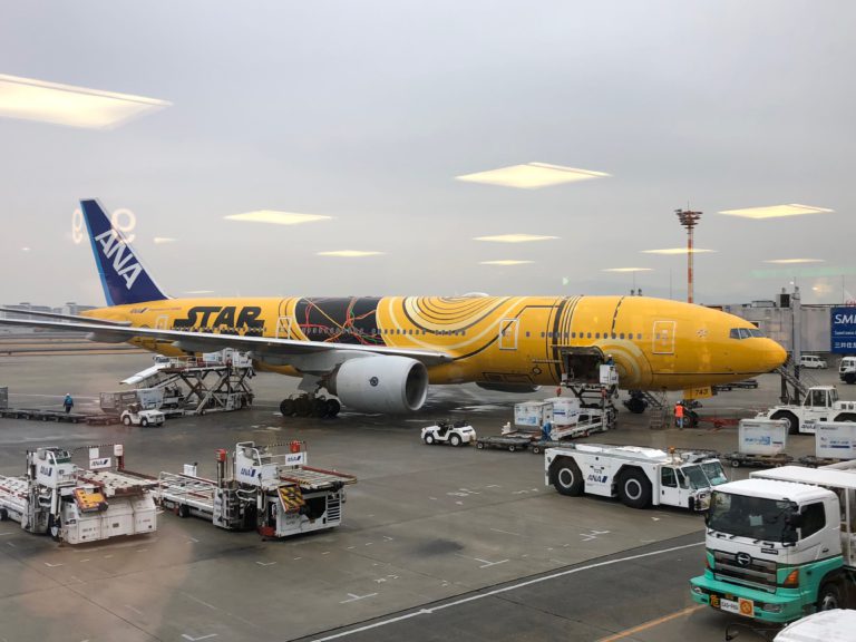 植え込みデバイス関連冬季大会（画像2）